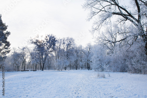 Winter snowy landscape © Mallivan