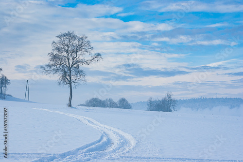 Solitary tree and tracks in the snow in a wintery landscape, exemplified here by the Swabian Alb near Muensingen, Baden-Wurttemberg, Germany. photo