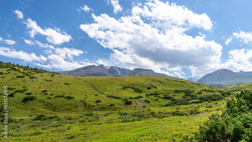 panoramic view of the mountain plateau. beautiful green mountain hills and peaks