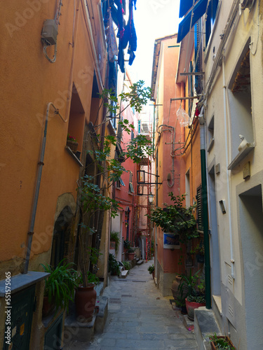 Colorful houses in narrow streets in Vernazza, Cinque Terre, Italy.