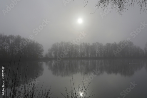 Landschaft mit See im Nebel, Bayern, Deutschland, Europa