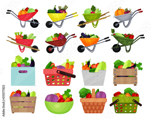 Ripe Vegetables in Wheelbarrow, Crate and Basket as Horticulture Big Vector Set