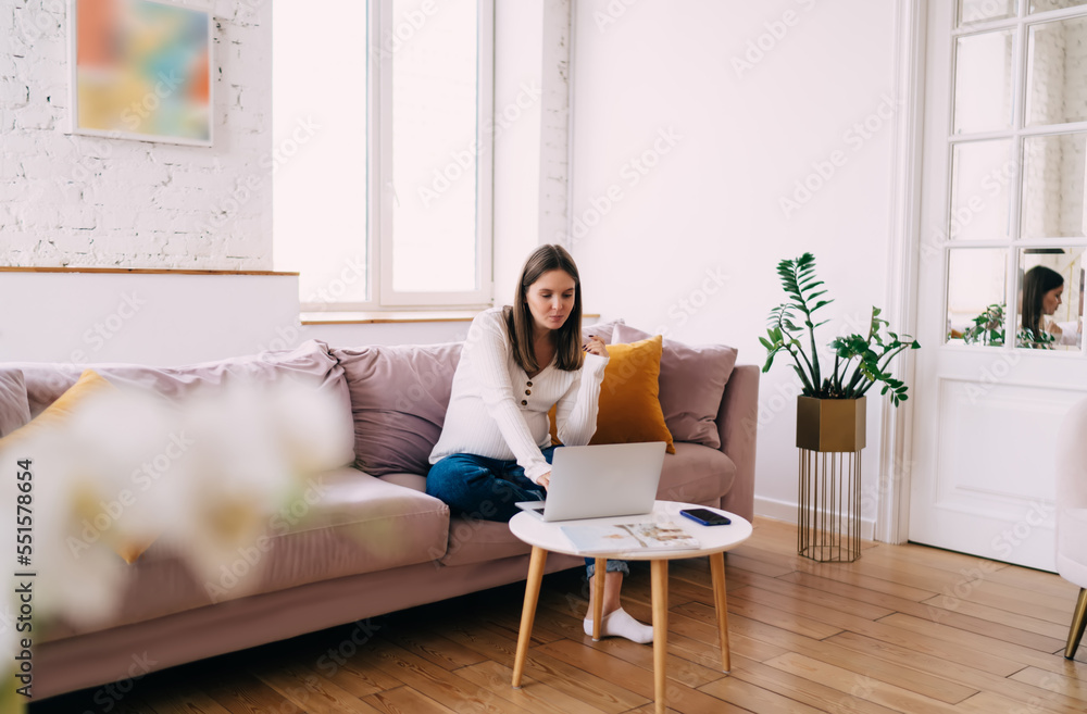 Positive pregnant woman using netbook while sitting on sofa at coffee table Positive pregnant woman using netbook while sitting on sofa at coffee table