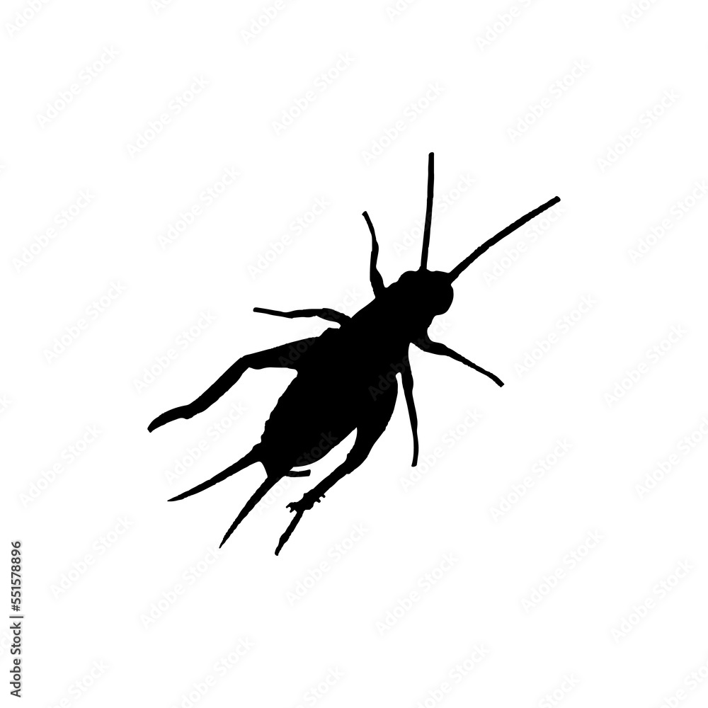 Cricket insect icon. Simple style insect science poster background symbol. Cricket insect brand logo design element. Cricket insect t-shirt printing. vector for sticker. Cricket insect icon. Simple style insect science poster background symbol. Cricket insect brand logo design element. Cricket insect t-shirt printing. vector for sticker.