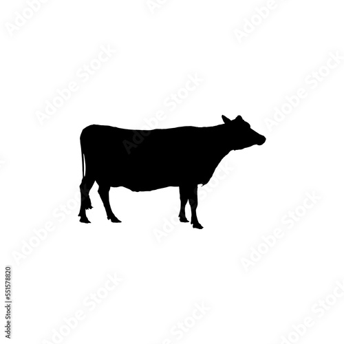 Cow icon. Simple style rural products big sale poster background symbol. Cow brand logo design element. Cow t-shirt printing. vector for sticker.
