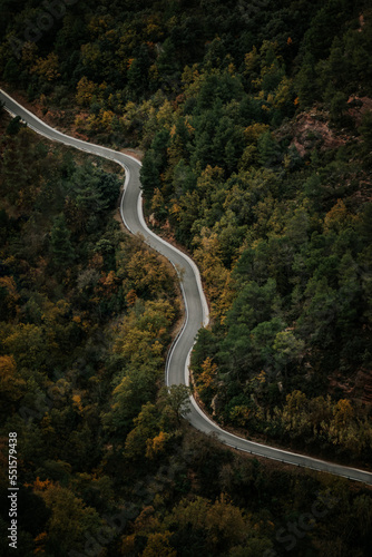 Vertical shot of curvy road surrounded by forest.