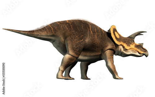 A triceratops  one of the most popular dinosaurs of the Cretaceous period. Isolated without a background. 3D Rendering