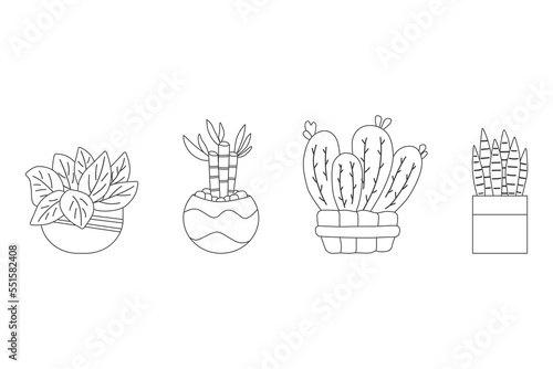 Potted of air filtering plant collection hand drawn vector by black thin line set collection illustration. © Warida.lnnl