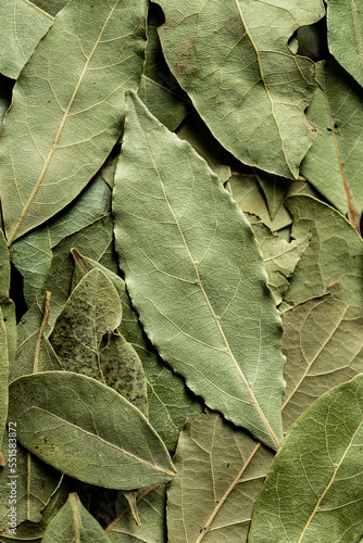 Dried bay leaves. Green background © mateuszsiuta