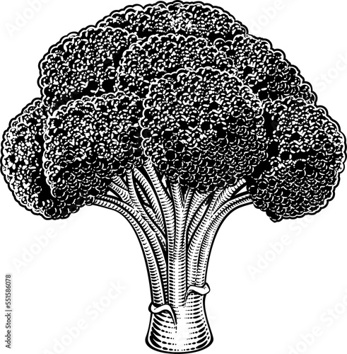 Broccoli Vegetable Vintage ...
