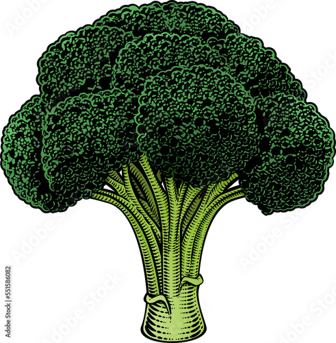 Broccoli Vegetable Vintage ...