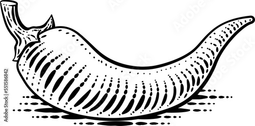 Pepper Vegetable Vintage Woodcut Illustration