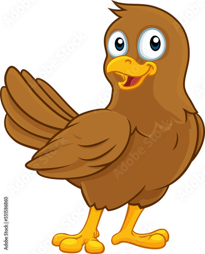 Cute Bird Cartoon Character