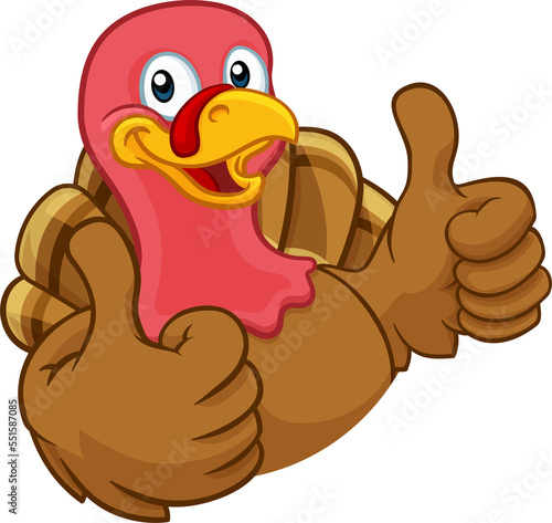 Turkey Thanksgiving or Christmas Cartoon Character