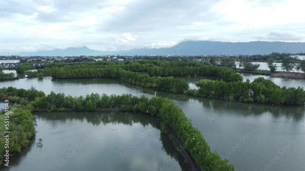 Aerial view of the beautiful mangrove forest in the western tip of Indonesia. Aerial view of the beautiful mangrove forest in the western tip of Indonesia.