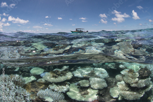 Split photo of coral reef in Maldives that has bleached with a boat in the distance on the surface