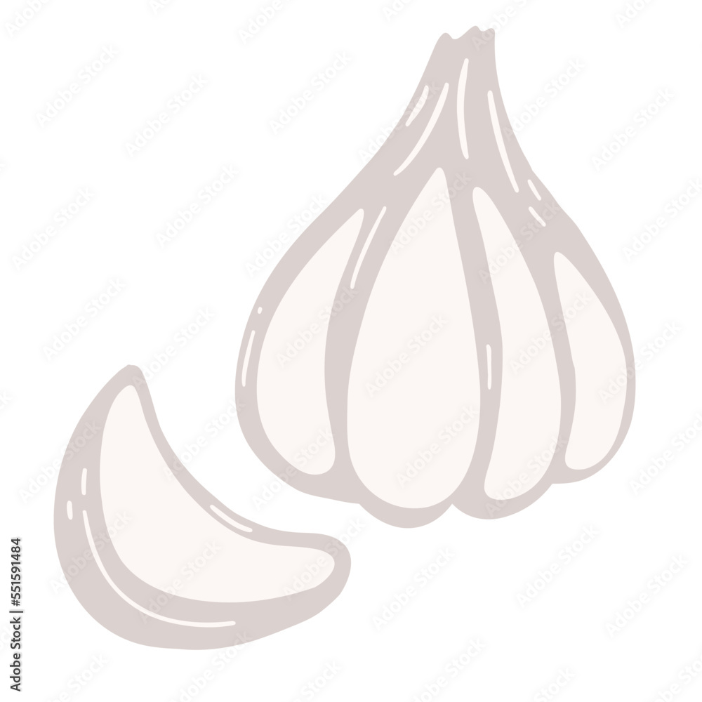 Garlic in cartoon flat style. Hand drawn vector illustration of garlic bulbs and cloves Garlic in cartoon flat style. Hand drawn vector illustration of garlic bulbs and cloves