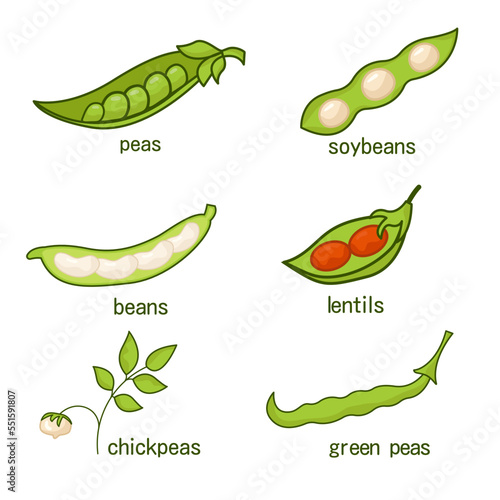A set of legumes. Peas lentils lentils chickpeas soybeans green peas