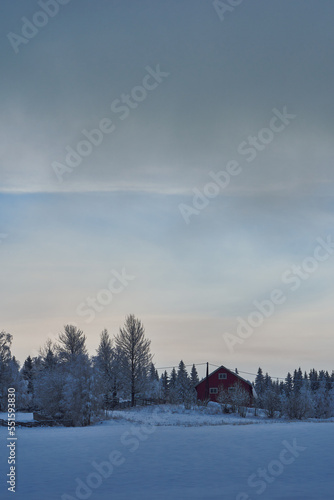 blue hour in the rural hills of winter