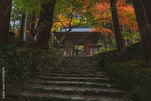 滋賀 百済寺 参道の秋景色