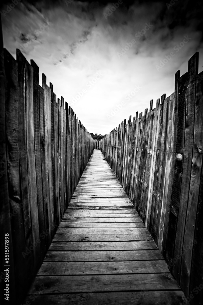 Obraz premium black and white