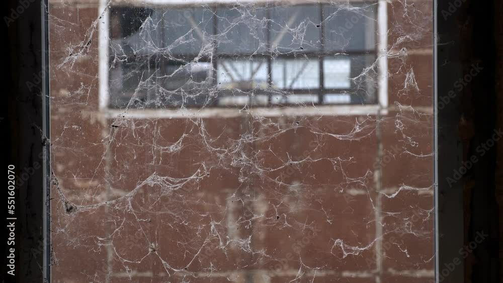 An old dirty window with cobwebs in an abandoned building. An abandoned ...