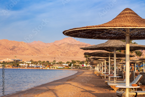 Hotel beach with rows of sun loungers under straw umbrellas against mountains, Dahab, Egypt photo