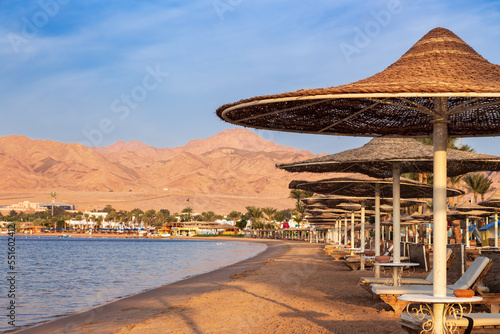 Obraz na plátně Hotel beach with rows of sun loungers under straw umbrellas against mountains, D