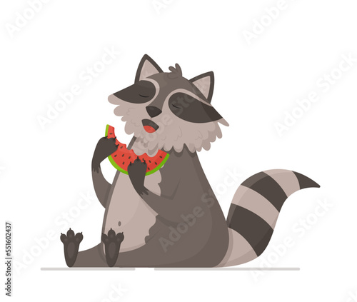 Cute raccoon eating watermelon on white background.