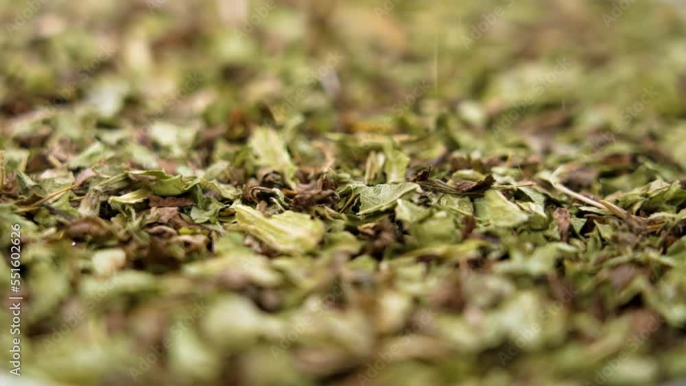 Medicinal milk thistle dried leaves falling in slow motion. Alternative herb medicine ingredient. Macro. Rotation Medicinal milk thistle dried leaves falling in slow motion. Alternative herb medicine ingredient. Macro. Rotation
