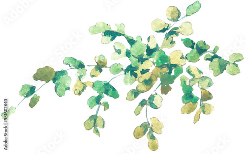 Watercolor leaf transparent png