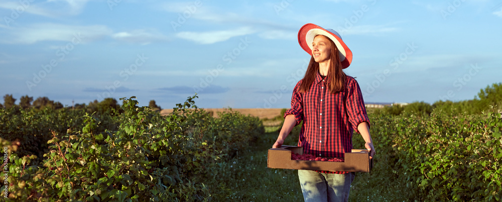Obraz premium A woman farmer in a hat is harvesting in the garden. Keeps a box of raspberries outdoors. A girl who enjoys gardening.The concept of harvesting.