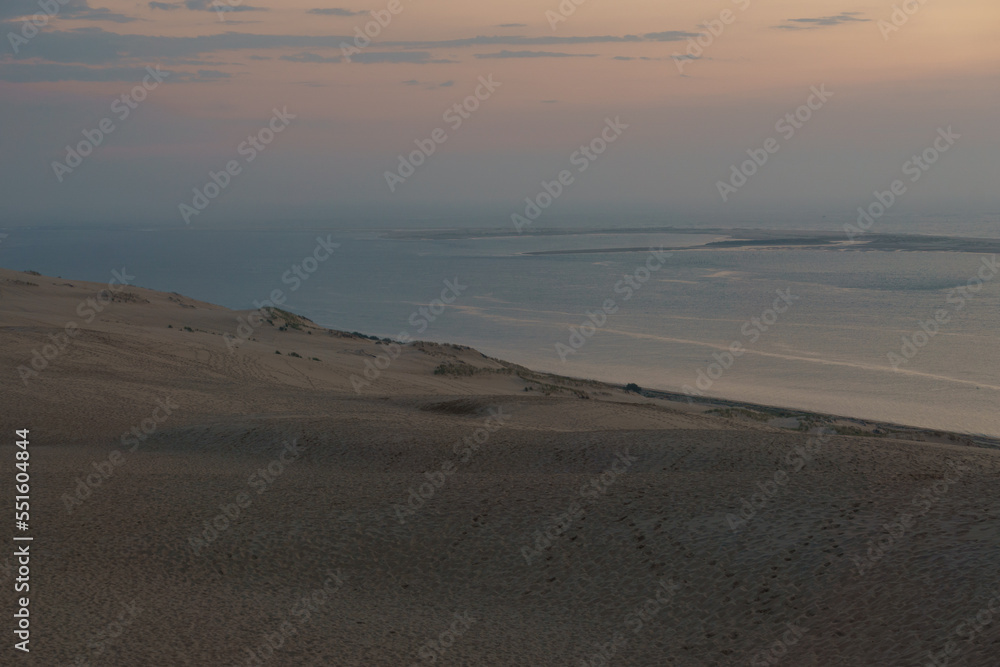lone grass in front of sea on dune du Pilat, the biggest sand dune in Europe during the twilight of the sunset Arcachon, Nouvelle-Aquitaine, France