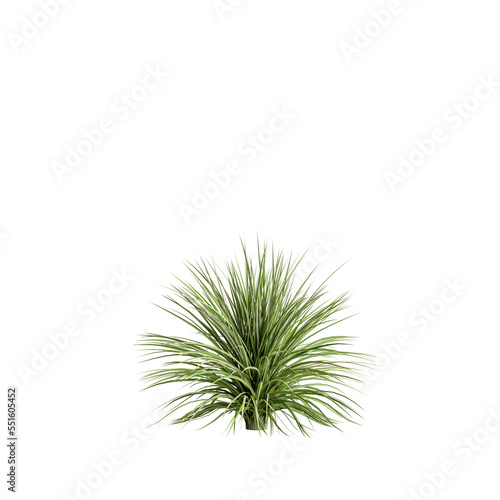 3d illustration of grass bush isolated on transparent background