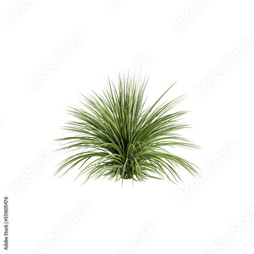 3d illustration of grass bush isolated on transparent background