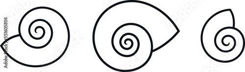 Grape snail shell. Isolated snail shell on white background