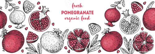 Pomegranate fruit hand drawn design. Vector illustration. Design, package, brochure illustration. Pomegranate frame illustration. Design elements for packaging design and other.