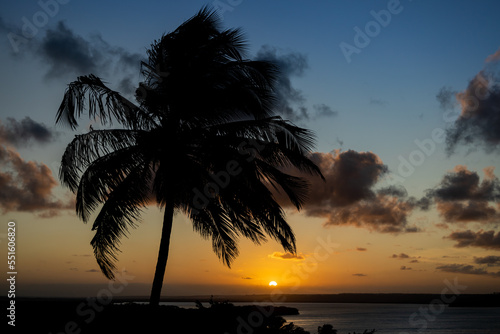Tropical sunset. Silhouette of coconut trees backlit.