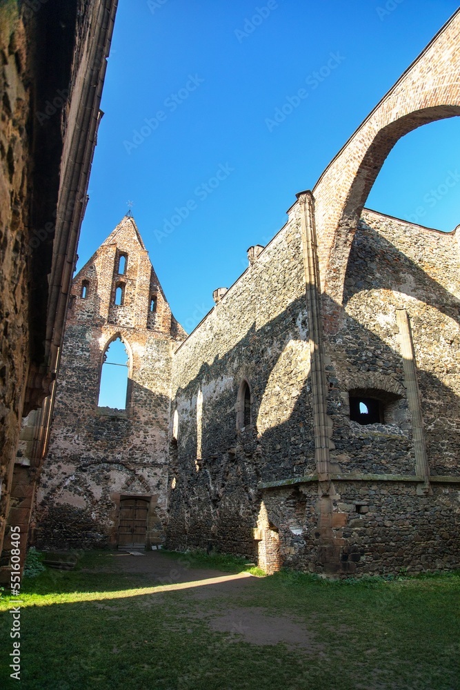 Rosa coeli, ruins church and monastery, Dolni Kounice