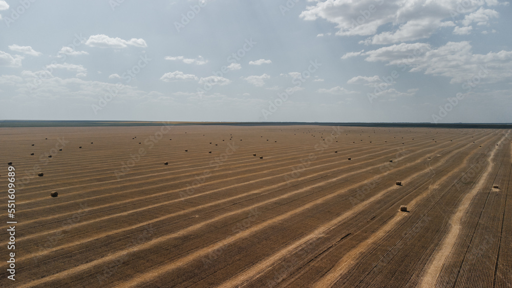 Naklejka premium hay rolls lie on a mown field