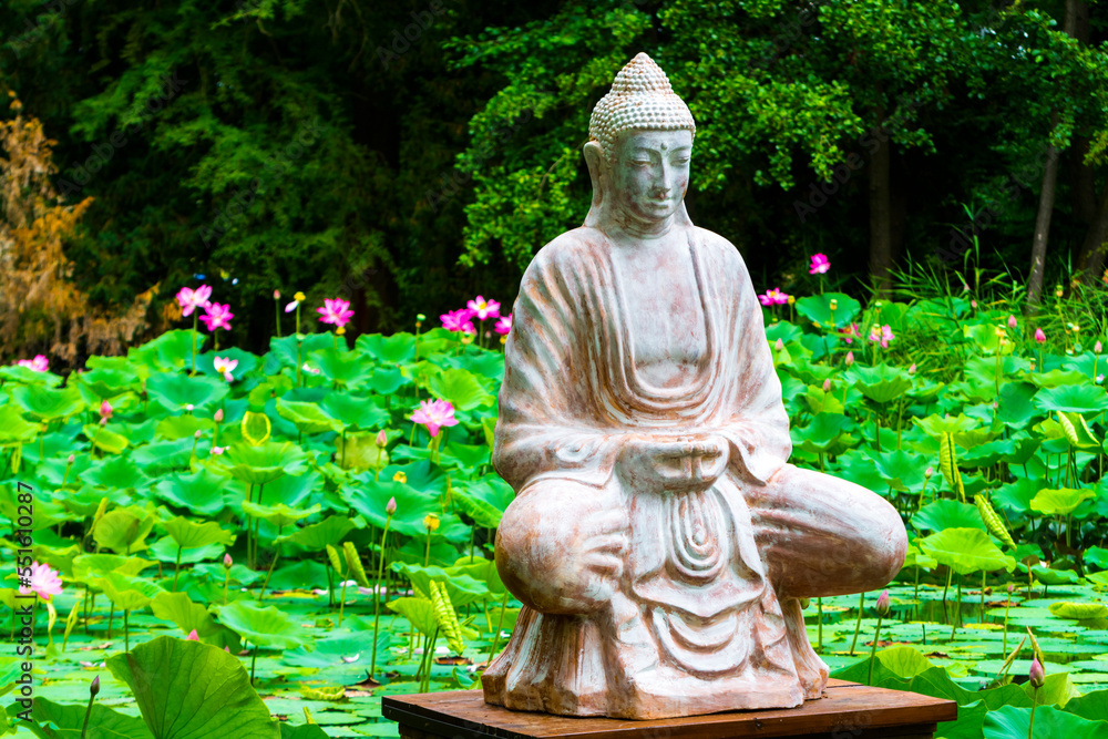 Buddha and the pond of sacred lotus Buddha and the pond of sacred lotus