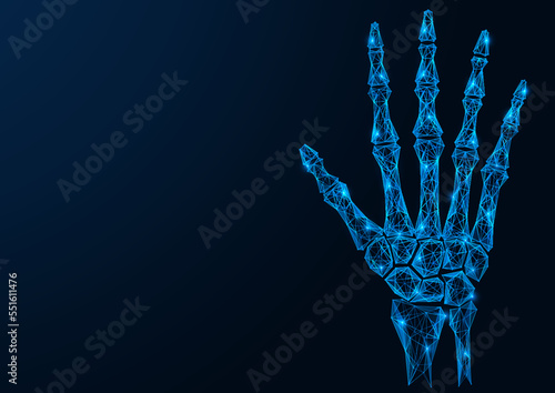 Bones of the hand. Polygonal design of lines and dots. Blue background.