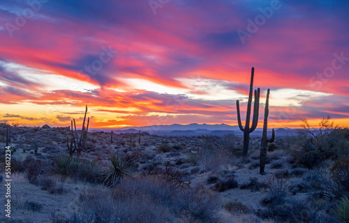 Super Colorful AZ Sunset Desert Landscape With Saguaro Cactus