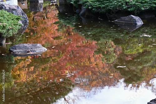 Scenery of autumn leaves in Japan. Seasonal background material.