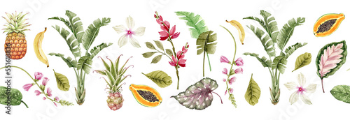 Botanical border with tropical flowers, plants and leaves .Illustration watercolor