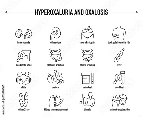 Hyperoxaluria and Oxalosis symptoms, diagnostic and treatment vector icon set. Line editable medical icons.