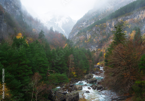 River landscape with forest and snowy mountains in the background