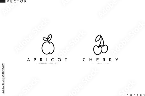Fruit with leaves outline style. Apricot and cherry logo