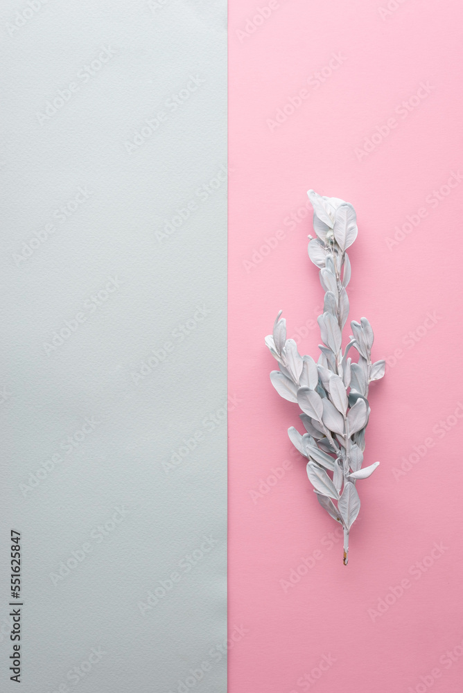 minimal concept of autumn leaves in blue paint on pink background minimal concept of autumn leaves in blue paint on pink background