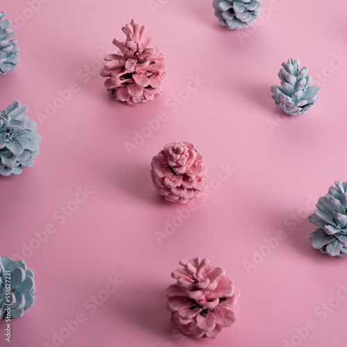 Fototapeta Naklejka Na Ścianę i Meble -  minimal composition christmas pattern christmas cones painted pink blue color